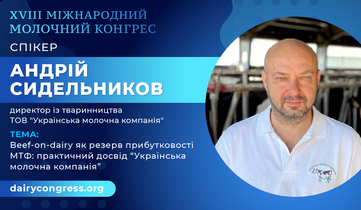Beef-on-dairy як резерв прибутковості МТФ: практичний досвід, який уже працює в Україні