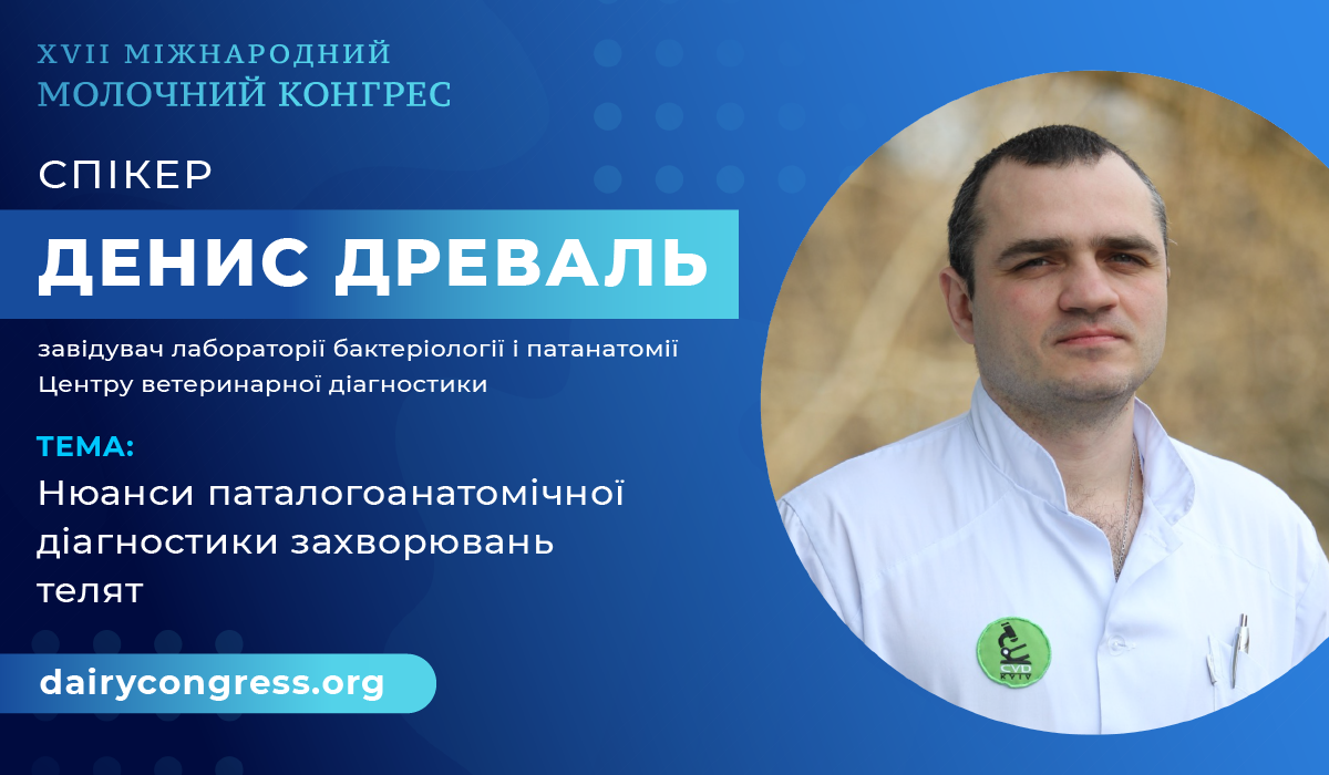 Спікер Денис Древаль