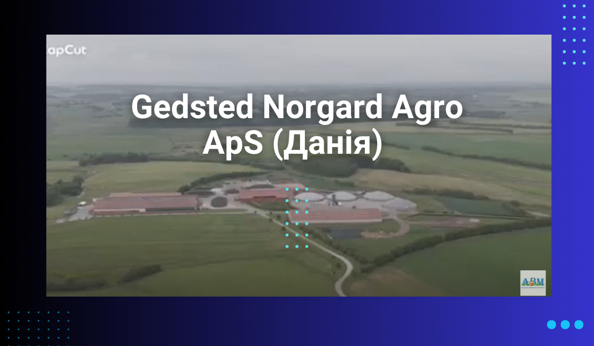 Молочна ферма Gedsted Norgard Agro ApS (Данія) 